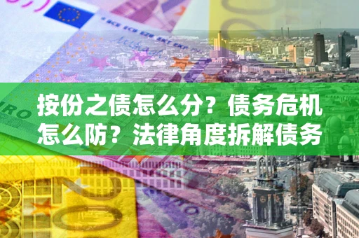 北京按份之债怎么分？债务危机怎么防？法律角度拆解债务分配与风险自保指南