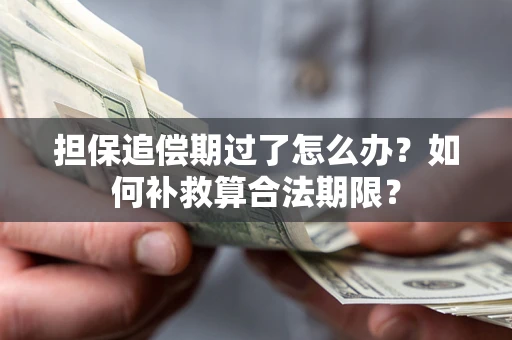 北京担保追偿期过了怎么办？如何补救算合法期限？