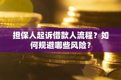 北京担保人起诉借款人流程？如何规避哪些风险？